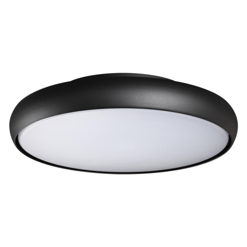 359289 STREET NT24 680 черный Светильник ландшафтный настенно-потолочный IP54 LED 32W 220-240V 4000K 4090Лм VIRTUO 359289 STREET NT24 680 черный Светильник ландшафтный настенно-потолочный IP54 LED 32W 220-240V 4000K 4090Лм VIRTUO