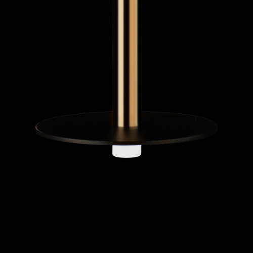 10358/830 Disk AB Подвесной светильник LOFT IT Reed фото 9