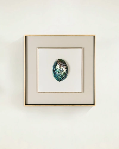 Интерьерное панно "Абалон - II" Интерьерное панно "Абалон - II"