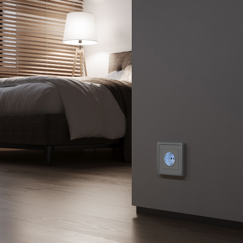 Розетка с подсветкой (белый матовый) W1171461 фото 3 Розетка с подсветкой (белый матовый) W1171461 фото 3