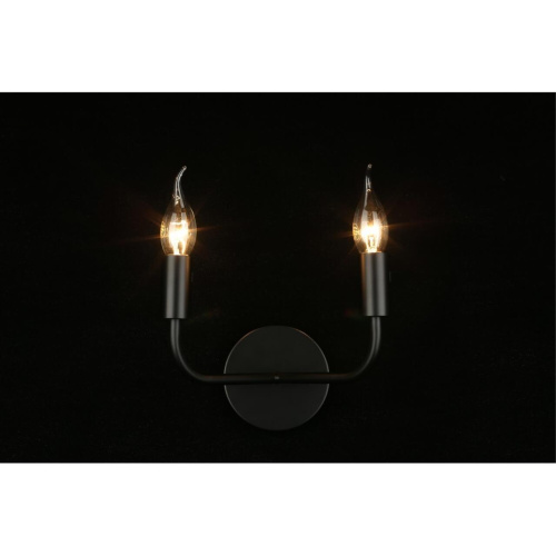 Светильник настенный (Бра) APL.338.11.02 фото 8 Светильник настенный (Бра) APL.338.11.02 фото 8