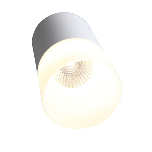 ST100.502.10 Светильник потолочный Белый LED 1*10W 3000K 780Lm Ra>80 120° D78xH135 170-240V Накладные светильники фото 2