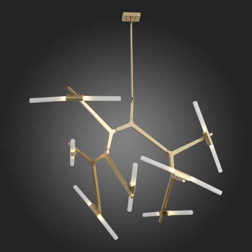 SL947.202.14 Люстра потолочная ST-Luce Золотистый/Белый G9 14*5W LACONICITA фото 9 SL947.202.14 Люстра потолочная ST-Luce Золотистый/Белый G9 14*5W LACONICITA фото 9