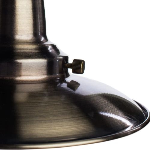 Подвесная люстра Arte Lamp FISHERMAN A5518LM-5AB фото 3