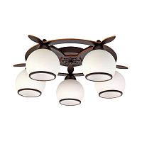 Люстра потолочная OML-50507-05