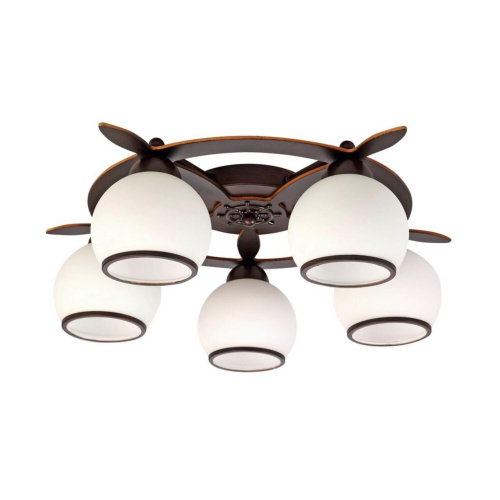 Люстра потолочная OML-50507-05