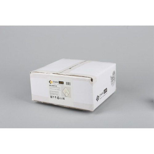 Светильник настенный (Бра) OML-02921-20 фото 6 Светильник настенный (Бра) OML-02921-20 фото 6