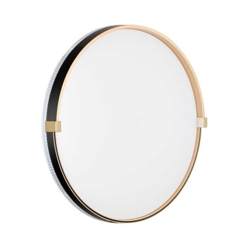 Настенно-потолочный светодиодный светильник Sonex Pale Olidi Black 7647/EL фото 6