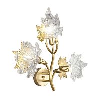 Светильник настенный (Бра) OML-52701-03