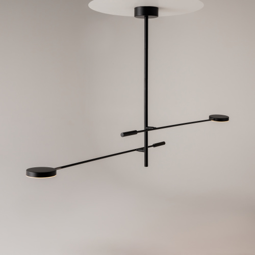 Потолочный светильник Maytoni MOD070CL-L15B3K1 фото 4