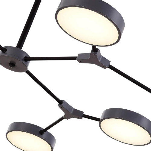 Потолочная светодиодная люстра Evoluce Monta SLE6003-702-08 фото 3