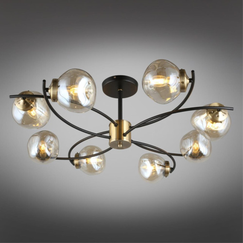 Люстра потолочная OML-95307-08 фото 3 Люстра потолочная OML-95307-08 фото 3