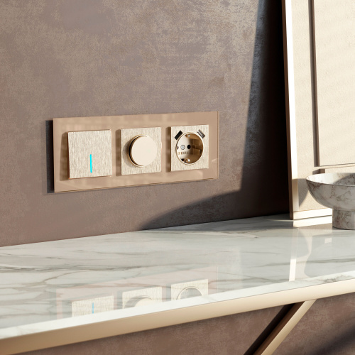 Диммер N (шампань рифленый) W1142010 фото 2