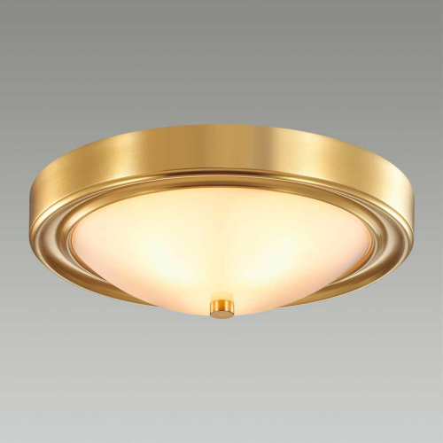 Настенно-потолочный светильник Lumion Vintage Nina 5259/2C фото 4