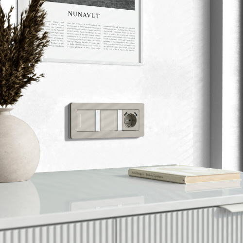 Умный сенсорный выключатель одноклавишный (дымчатый) W4513641 фото 3 Умный сенсорный выключатель одноклавишный (дымчатый) W4513641 фото 3