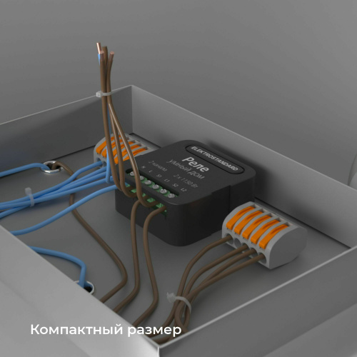 Умное двухканальное реле 76007/00 фото 5 Умное двухканальное реле 76007/00 фото 5