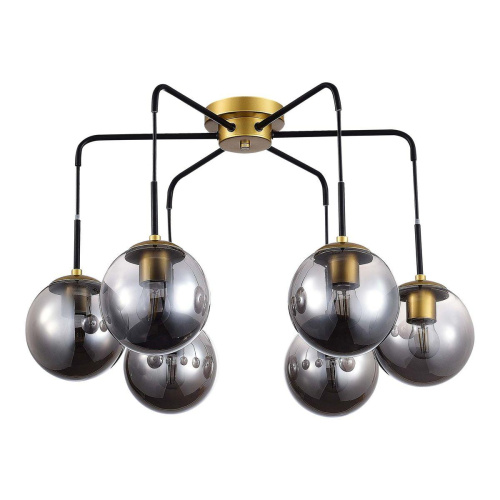 Потолочная люстра Evoluce Scorze SLE1097-302-06 фото 3