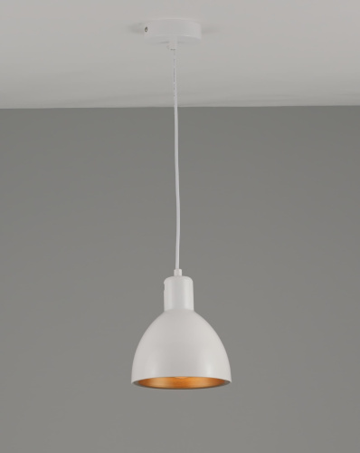 Подвесной светильник Moderli V2711-1P Irina фото 6 Подвесной светильник Moderli V2711-1P Irina фото 6