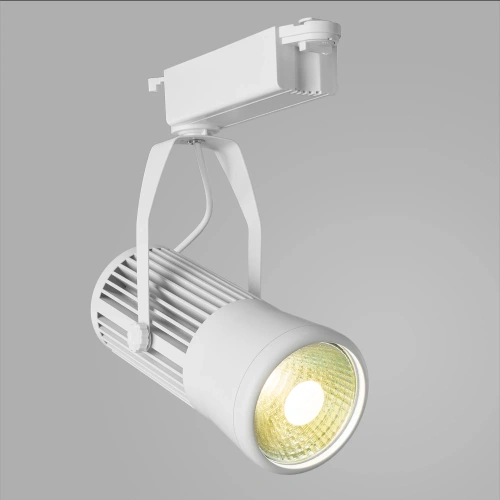 Трековый светильник Arte Lamp RICORDO A6330PL-1WH фото 2
