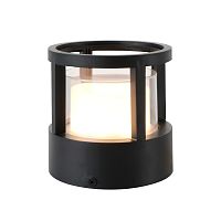 Настенный светильник Escada 30017W/02 LED*6W IP54 Black