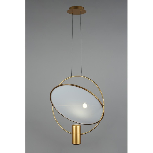 Светильник подвесной OML-29816-02 фото 5