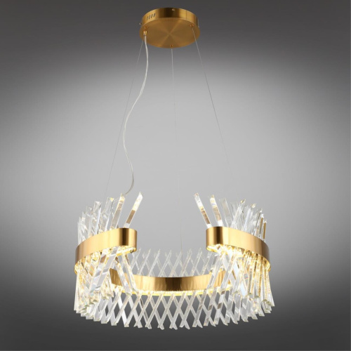 Люстра подвесная OML-99903-62 фото 3 Люстра подвесная OML-99903-62 фото 3