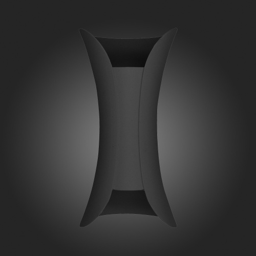 SL1584.411.02 Светильник уличный настенный ST-Luce Черный/Черный LED 2*5W 4000K COSETTO фото 3