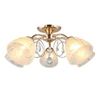 Люстра потолочная OML-29007-05