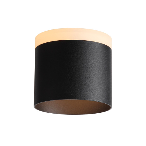 ST102.402.12 Светильник потолочный Черный LED 1*12W 3000K 936Lm Ra>80 120° IP20 D100xH90 170-240V Накладные светильники фото 8