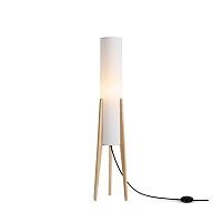 Торшер Freya FR5543FL-01T