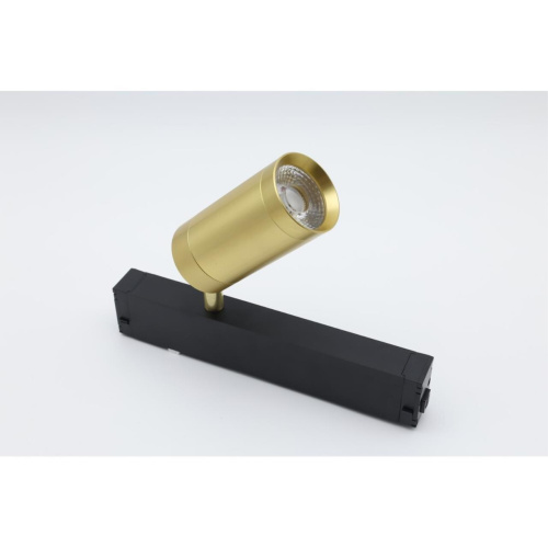 Светильник трековый APL.0205.10.09