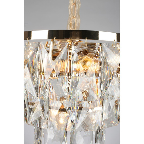 Люстра подвесная OML-72903-09 фото 5