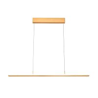 Подвесной светильник Vele Luce Futuro VL7224P01