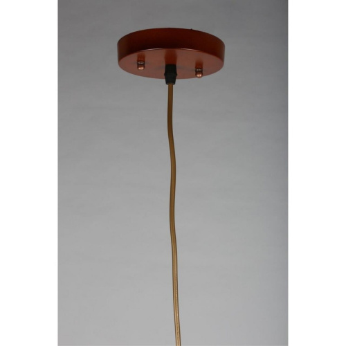 Светильник подвесной OML-59403-01 фото 2