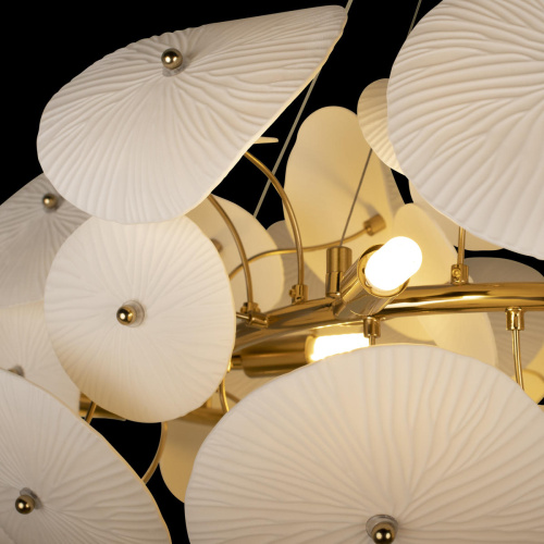 10234/1000 Подвесной светильник LOFT IT Paradise фото 4