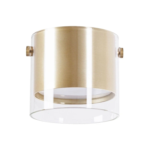 Точечный накладной светильник Arte Lamp LAZIO A5366PL-1SG фото 2