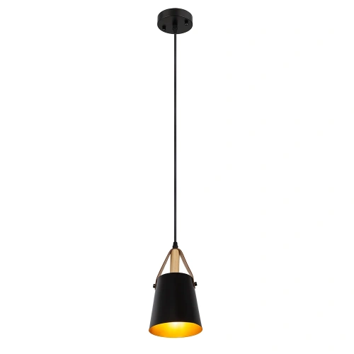 Подвесной светильник Arte Lamp THOMAS A7032SP-1BK фото 2