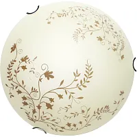 Потолочный светильник Arte Lamp ORNAMENT A4920PL-1CC