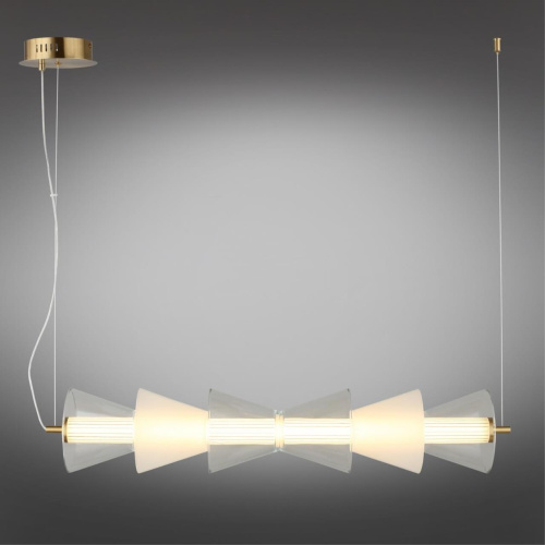 Люстра подвесная OML-51503-21 фото 8