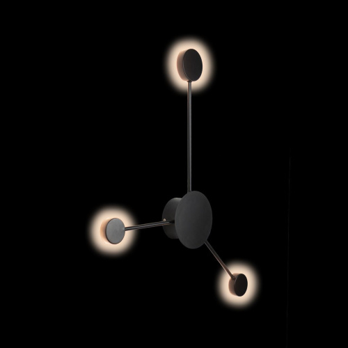 10059BK Настенный светильник LOFT IT Rays фото 3