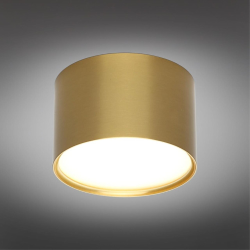 Светильник встраиваемый-накладной OML-100929-06 фото 3