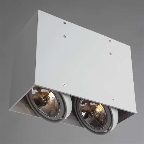 Точечный накладной светильник Arte Lamp CARDANI GRANDE A5936PL-2WH фото 2 Точечный накладной светильник Arte Lamp CARDANI GRANDE A5936PL-2WH фото 2