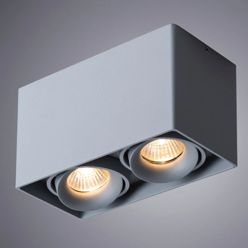 Точечный накладной светильник Arte Lamp PICTOR A5654PL-2GY фото 2