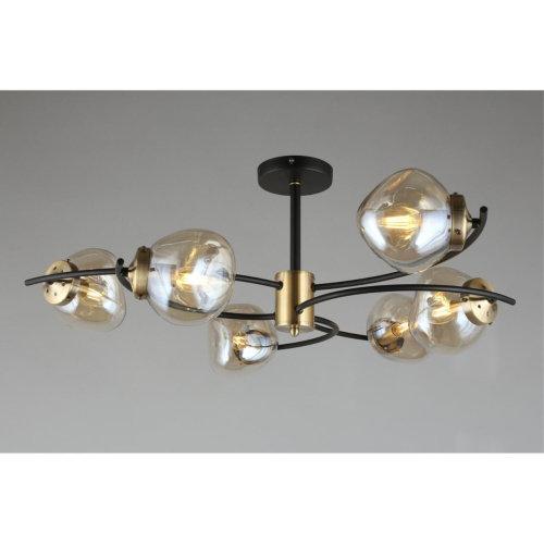 Люстра потолочная OML-95307-06 фото 6 Люстра потолочная OML-95307-06 фото 6