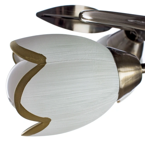 Люстра Arte Lamp PERCE A6061PL-4AB фото 4