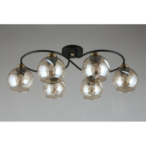 Люстра потолочная OML-95007-06 фото 6