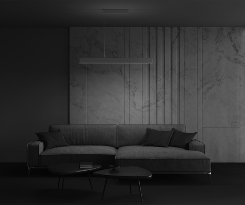 Подвесной светильник Technical P010PL-L30W фото 3 Подвесной светильник Technical P010PL-L30W фото 3