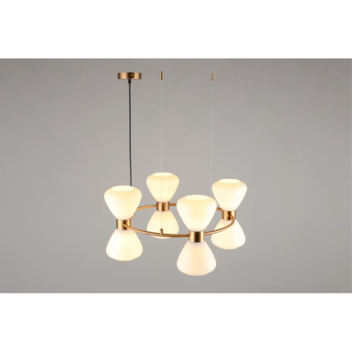 Люстра подвесная OML-59603-08 фото 5 Люстра подвесная OML-59603-08 фото 5