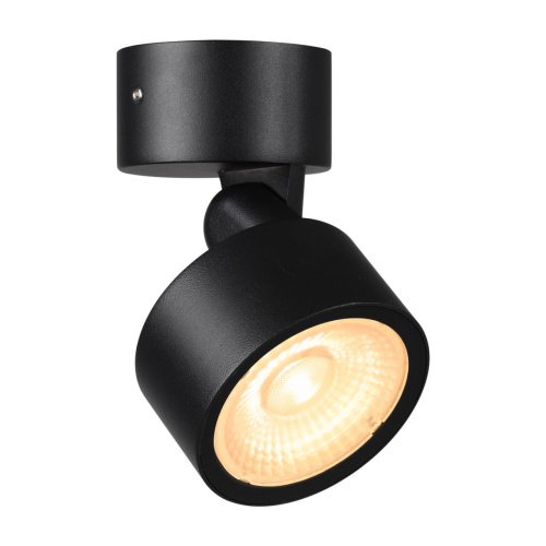 359588 STREET NT25 694 черный Светильник ландшафтный светодиодный IP65 LED 12W 3000К 100-240V FOCUS фото 4 359588 STREET NT25 694 черный Светильник ландшафтный светодиодный IP65 LED 12W 3000К 100-240V FOCUS фото 4