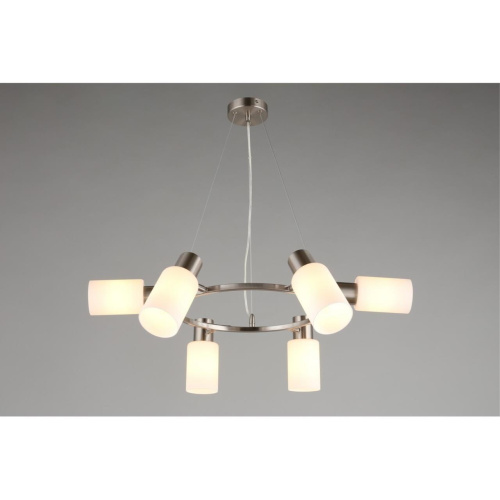 Люстра подвесная OML-69113-06 фото 9